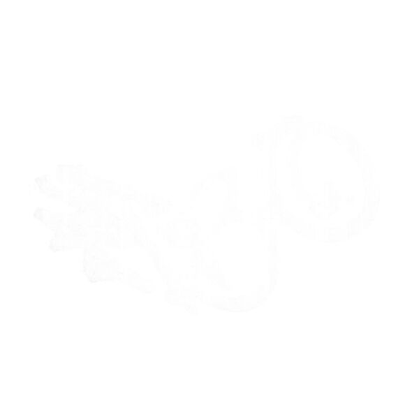 3cb5568c c7d4 44fb 80ed 8047b3d56fab1 Thumbnail